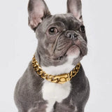 Cuban Link Chain Dog Collar - Gold