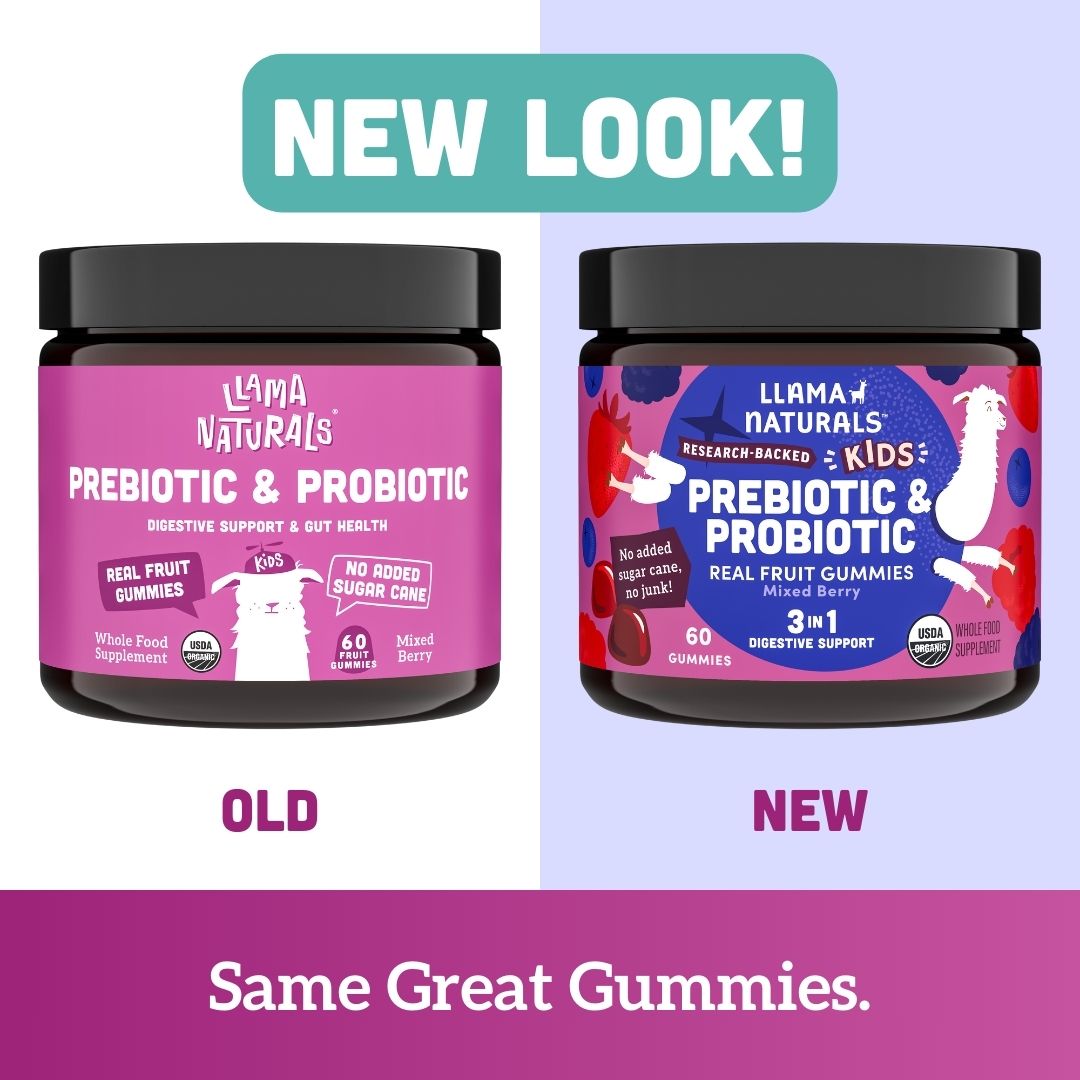 Family Gut Support Bundle – Kids + Adult Pre & Probiotic Gummies – Mixed Berry