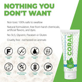 Nano Silver Mint Toothpaste 4 Pack