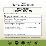 Organic Hawthorn Berry