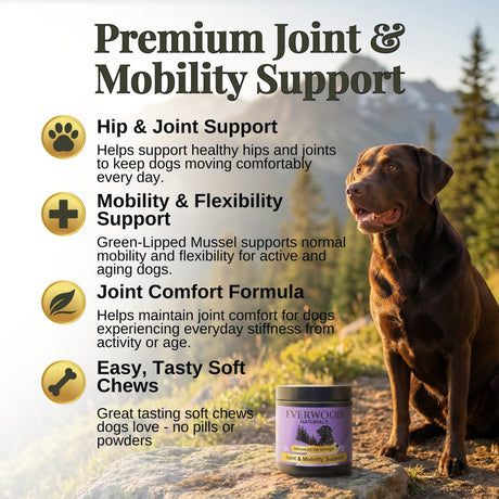 Everwood Naturals Everwood Naturals Advanced Vet Strength Joint & Mobility Dog Supplement Chews