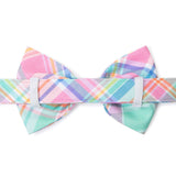 Lucky Dog Pet Company Blooming Plaid Spring Easter Dog Bow Tie