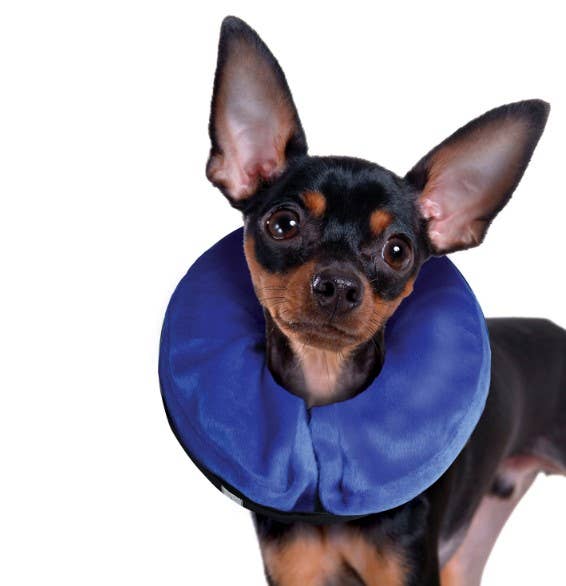 KONG® E-Collar Cloud® XS