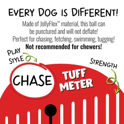 JollyPet Tug-n-Toss 8"
