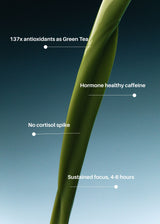 LAKA® Matcha™