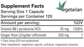 Ginkgo 60 Capsules