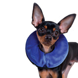 KONG® E-Collar Cloud® Small