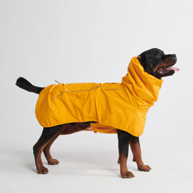 Lucky Dog Pet Company Breatheshield™ Dog Raincoat - Mustard Yellow