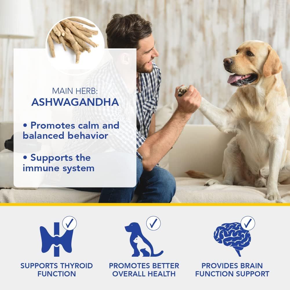 Stress Support Ashwagandha 120Capsules