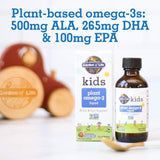 Kids Plant Omega-3 2 Oz Liquid Strawberry