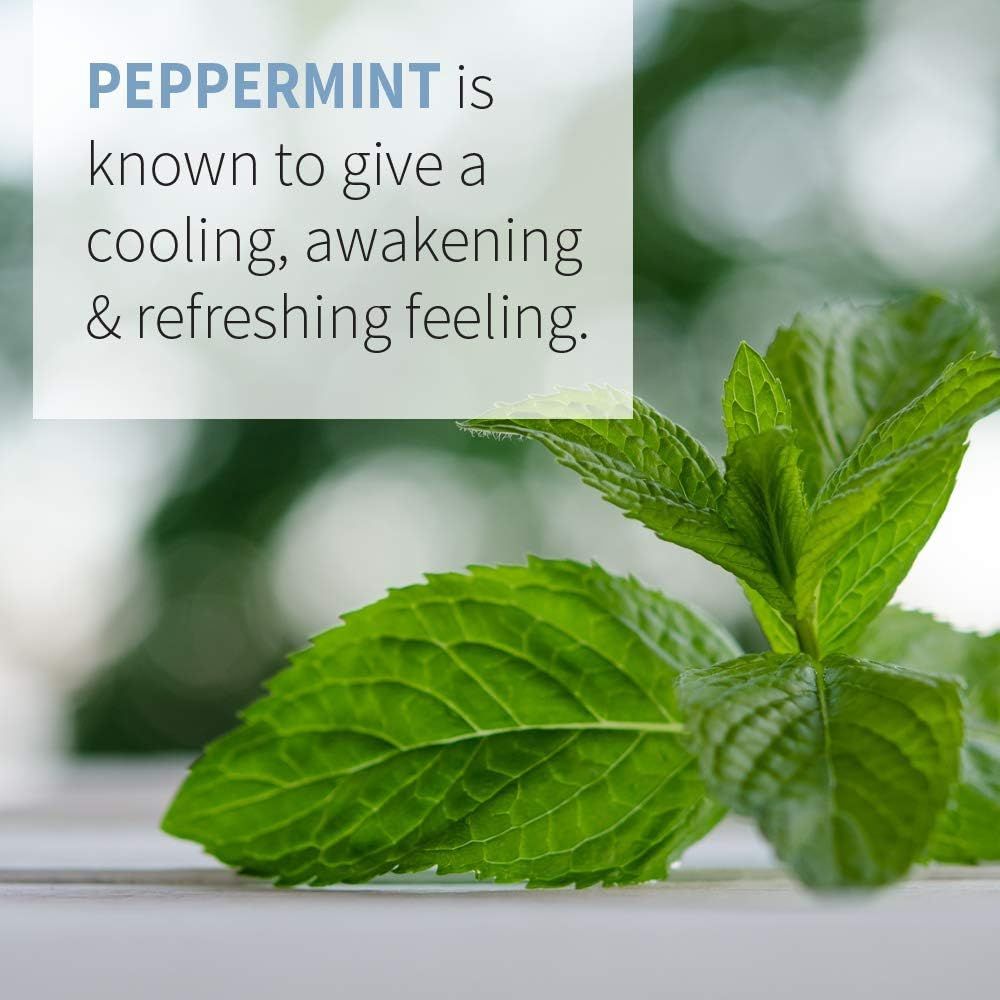 Organic Essential Oil Peppermint 0.5 Fl Oz (15 ML) Liquid