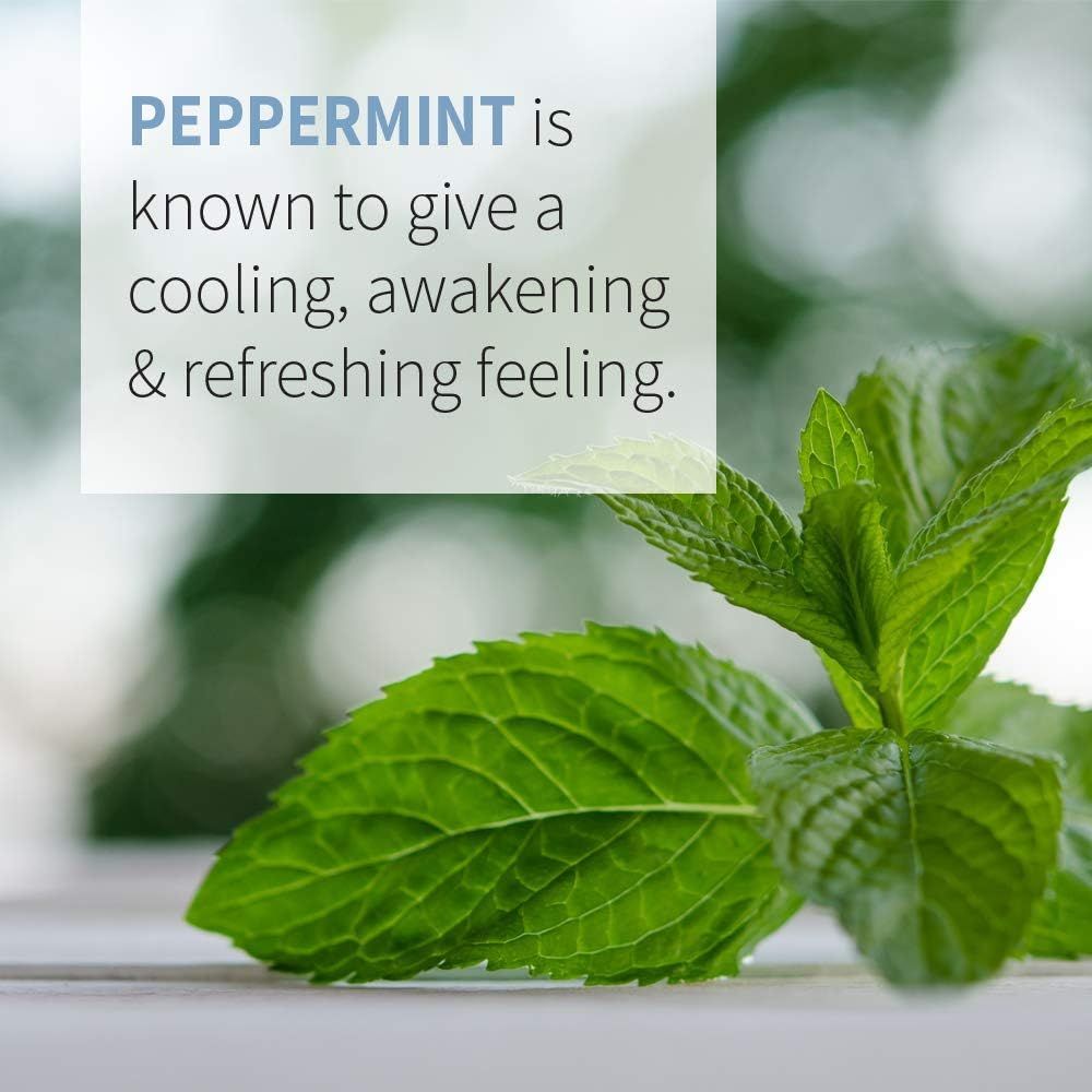 Organic Essential Oil Peppermint 1 Fl Oz (30 ML) Liquid