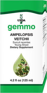 Ampelopsis Veitchii 4.2 fl Oz (125ML) Liquid