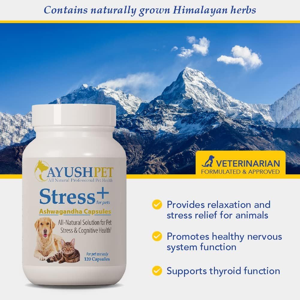 Stress Support Ashwagandha 120Capsules