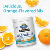 Dr. Formulated Whole Food Magnesium 14.9 oz (419.5g) Powder Orange