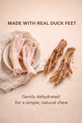 Whisker & Tail Co Duck Feet for Dogs | Natural Chew | Whisker & Tail Co.