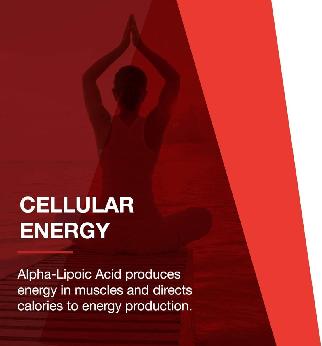 Alpha Lipoic Acid 600 MG 60 Vegan Capsules