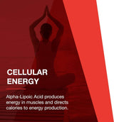 Alpha Lipoic Acid 250 MG 90 Vegan Capsules