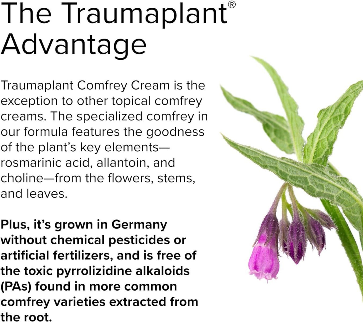 Traumaplant Comfrey Cream 3.53 Oz Cream