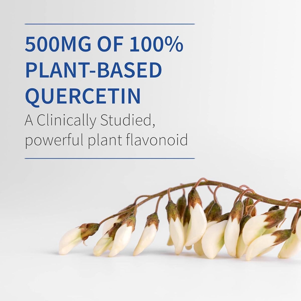 Dr. Formulated Quercetin Recovery 500 MG 30 Vegan Tablets