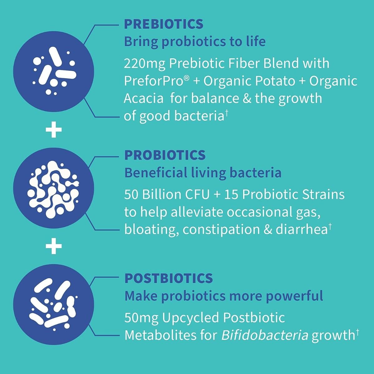 Dr. Formulated Probiotics Gas & Bloating 50 Billion 30 Veggie Caps