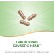 Dandelion Root 100Capsules