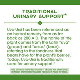 Uva Ursi Leaves 100 Capsules