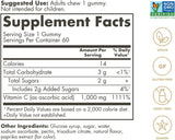 Ultra Potency Vitamin C 1000 MG