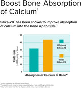 Silica-20 60 Tablets