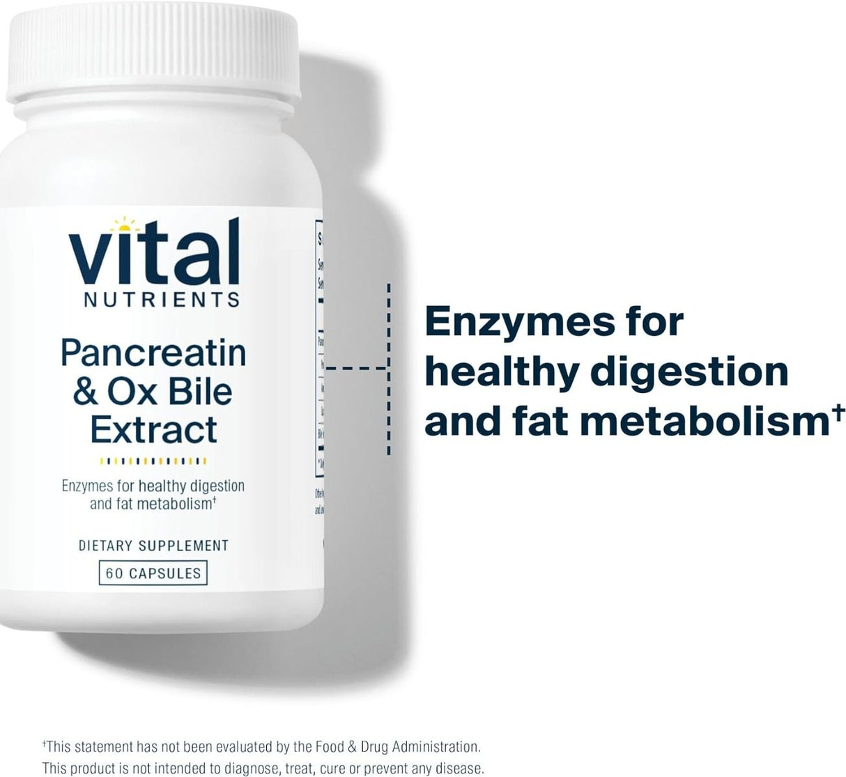 Pancreatin & Ox Bile 60 Veggie Caps