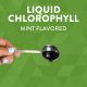 Chlorofresh 16 OZLiquidMint