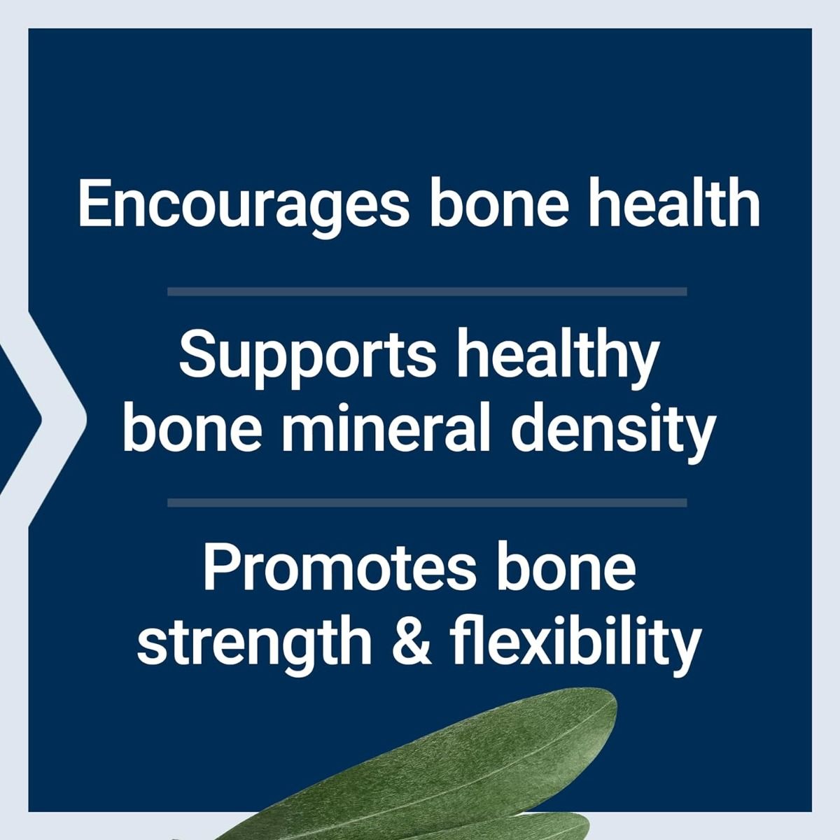 Bone Strength Collagen Formula 120 Capsules