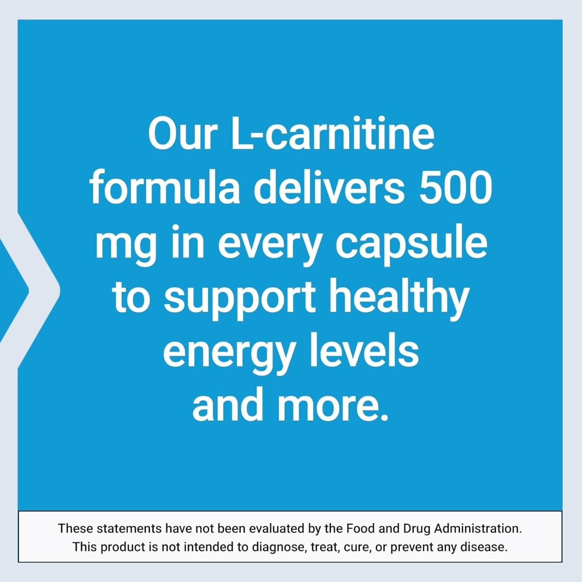 L-Carnitine 500 MG 30 Veggie Caps