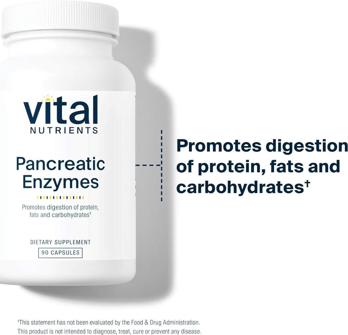 Pancreatic Enzymes 1000 MG 90 Capsules