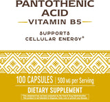 Pantothenic Acid 250 MG 100 Capsules