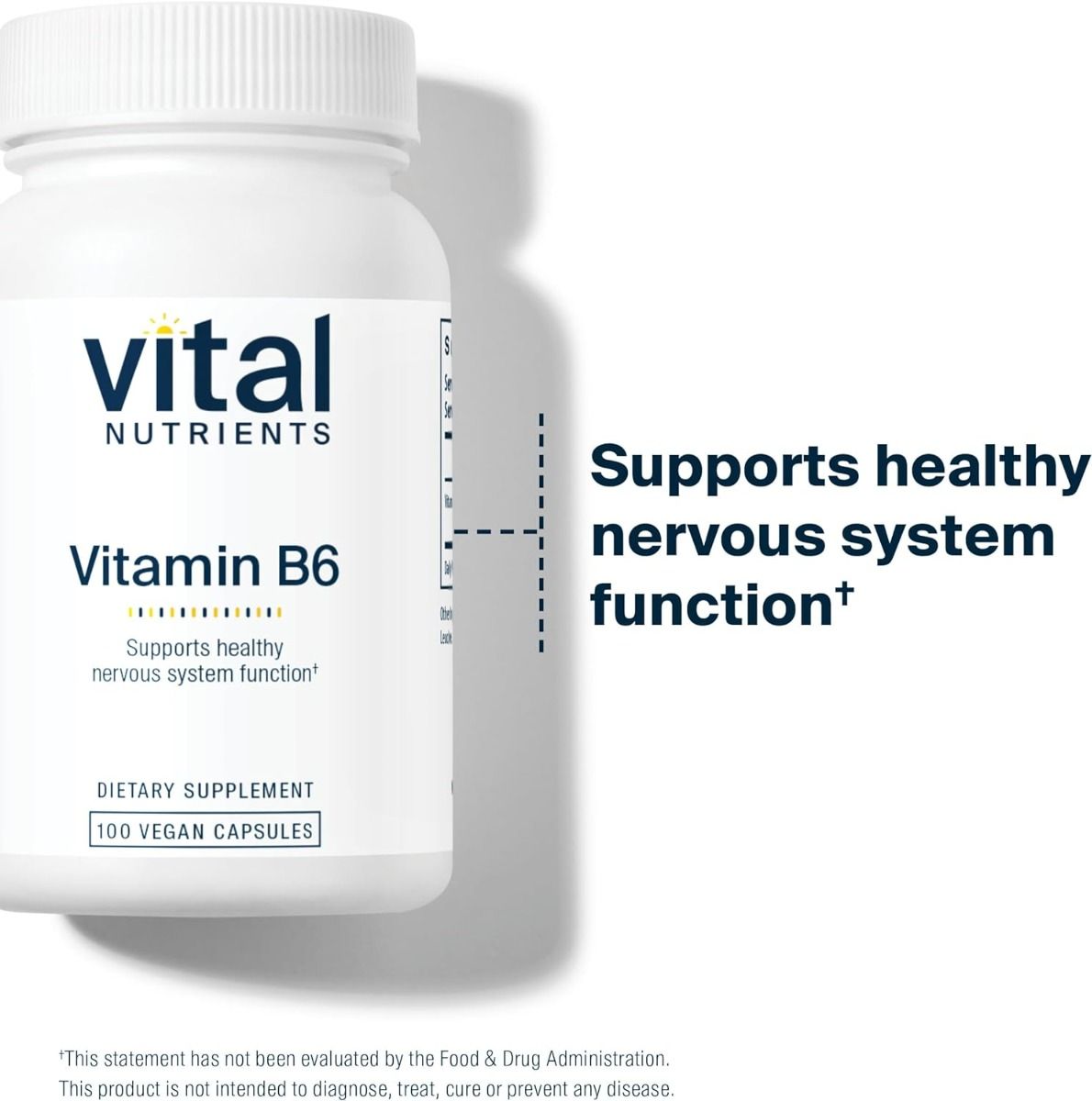 Vitamin B6 100 MG 100 Capsules