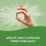 Neem 100Capsules