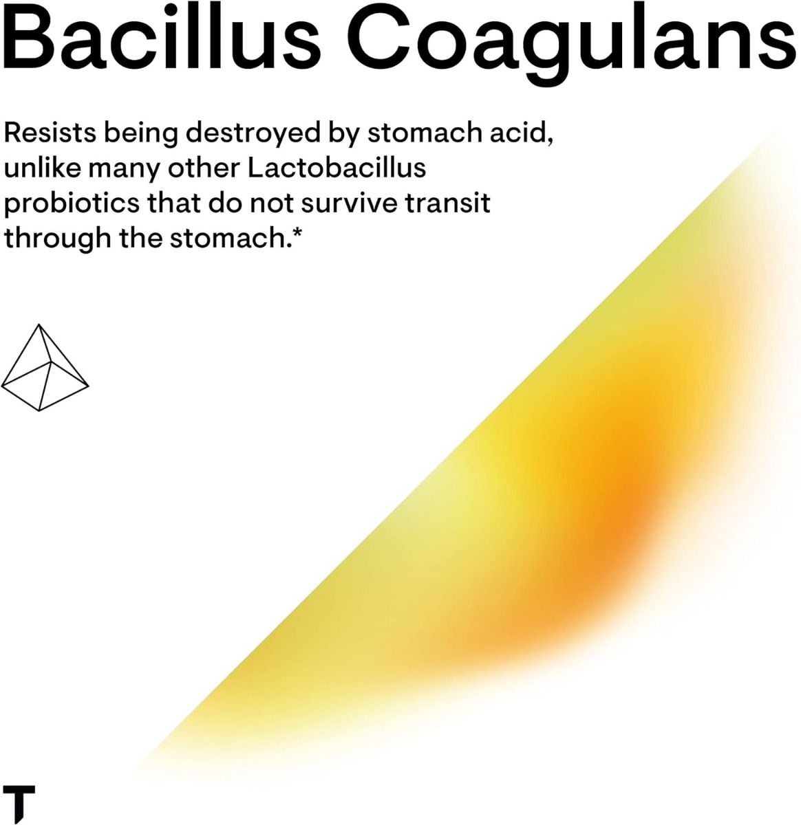 Bacillus Coagulans 133 MG 60Veggie Caps