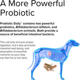 Probiotic Daily (For Dogs!) 60 Chewable Tablets