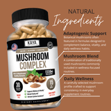 Mushroom Complex