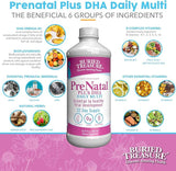 Prenatal Plus DHA Complete 16 OZ Liquid