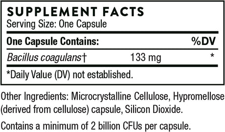 Bacillus Coagulans 133 MG 60Veggie Caps