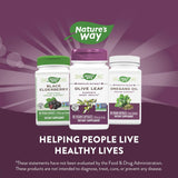 Olive Leaf 60 Capsules