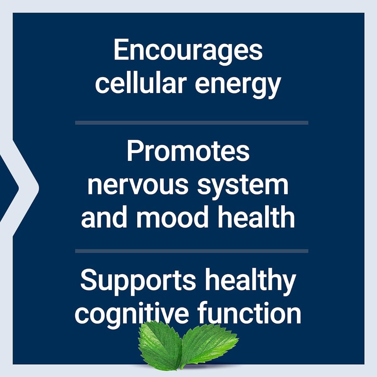 Acetyl-L-Carnitine 500 MG 100 Veggie Caps