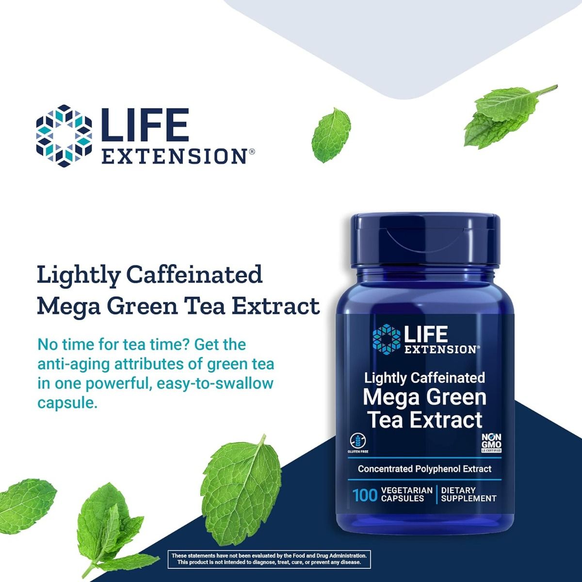 Mega Green Tea Extract (Lightly Caffeinated) 100 Veggie Caps