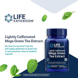 Mega Green Tea Extract (Lightly Caffeinated) 100 Veggie Caps