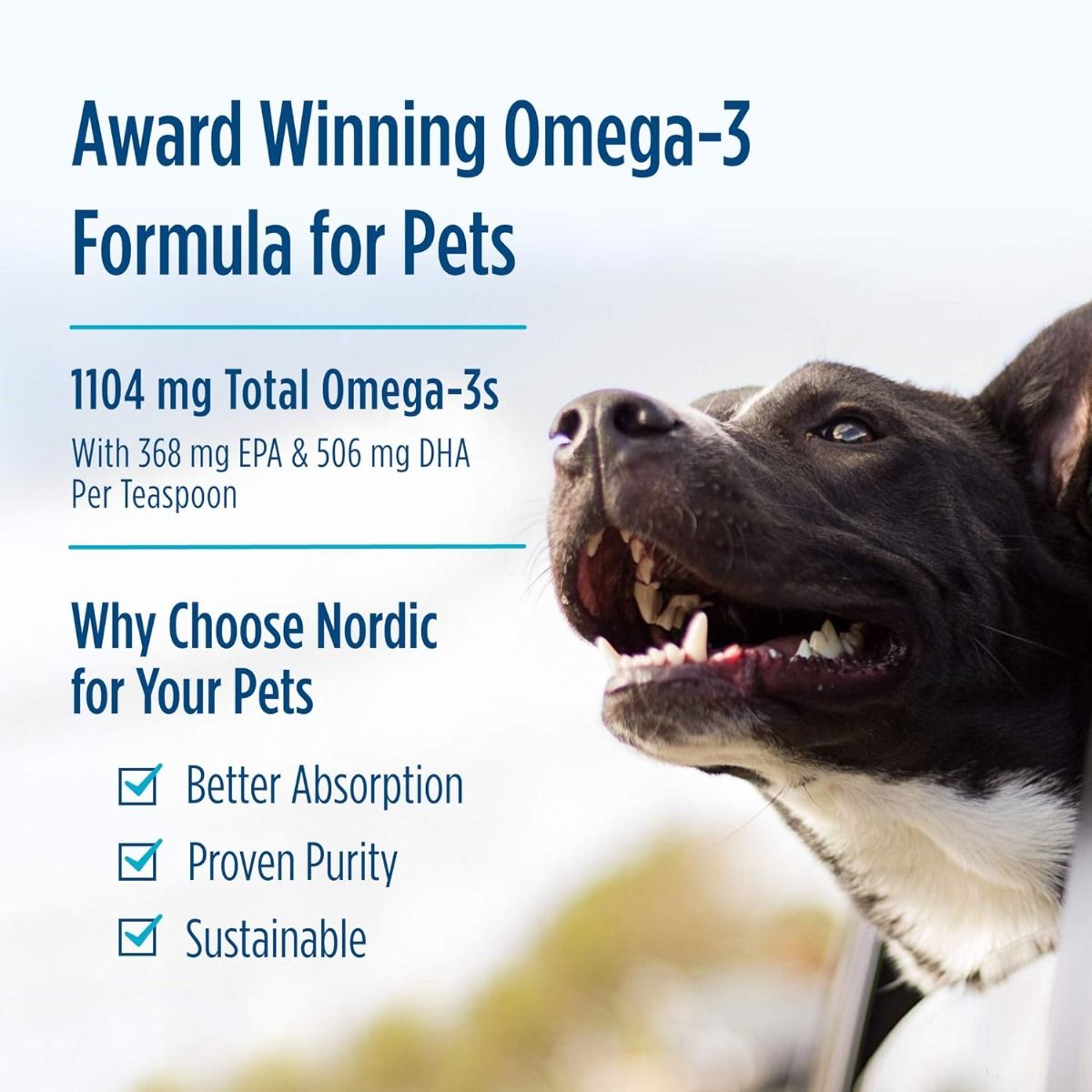 Omega-3 Pet 16 Oz Liquid Unflavored