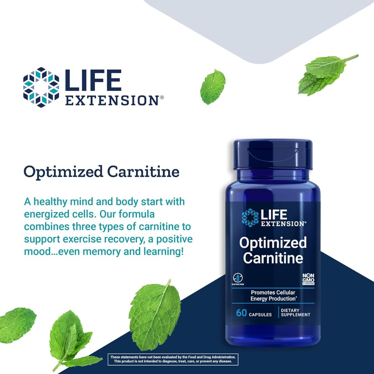 Optimized Carnitine 60 Veggie Caps