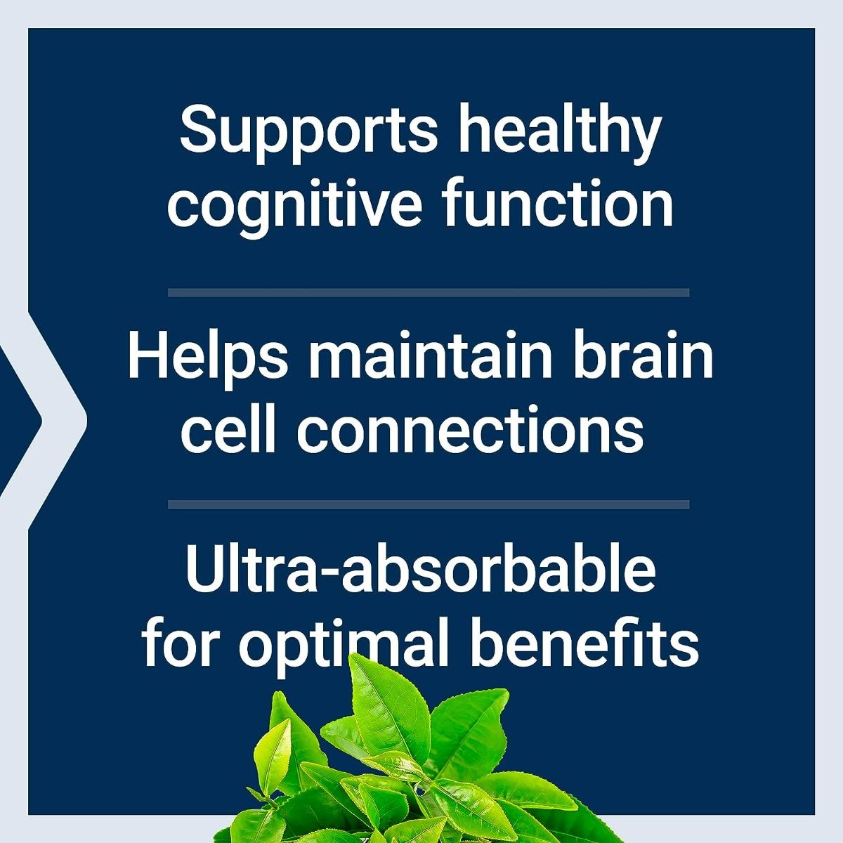 Neuro-Mag Magnesium L-Threonate 90 Veggie Caps