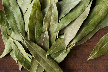 World Spice California Bay Leaf